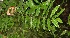  ( - BioBot05294)  @11 [ ] Copyright (2010) Unspecified Unspecified