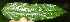  ( - BioBot05294)  @11 [ ] Copyright (2010) Unspecified Unspecified