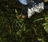  ( - BioBot05295)  @11 [ ] Copyright (2010) Unspecified Unspecified