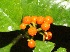  ( - BioBot05295)  @11 [ ] Copyright (2010) Unspecified Unspecified
