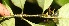  ( - BioBot05295)  @11 [ ] Copyright (2010) Unspecified Unspecified
