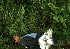  ( - BioBot05298)  @11 [ ] Copyright (2010) Unspecified Unspecified