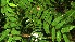  ( - BioBot05298)  @11 [ ] Copyright (2010) Unspecified Unspecified