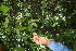  ( - BioBot05300)  @11 [ ] Copyright (2010) Unspecified Unspecified