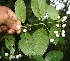  ( - BioBot05301)  @11 [ ] Copyright (2010) Unspecified Unspecified