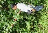  ( - BioBot05311)  @11 [ ] Copyright (2010) Unspecified Unspecified