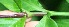  ( - BioBot05311)  @11 [ ] Copyright (2010) Unspecified Unspecified
