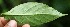  ( - BioBot05311)  @11 [ ] Copyright (2010) Unspecified Unspecified