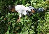  ( - BioBot05312)  @11 [ ] Copyright (2010) Unspecified Unspecified