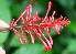  ( - BioBot05312)  @11 [ ] Copyright (2010) Unspecified Unspecified