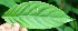  ( - BioBot05312)  @11 [ ] Copyright (2010) Unspecified Unspecified