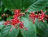  ( - BioBot05313)  @11 [ ] Copyright (2010) Unspecified Unspecified