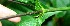  ( - BioBot05313)  @11 [ ] Copyright (2010) Unspecified Unspecified