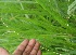  ( - BioBot05323)  @11 [ ] Copyright (2010) Unspecified Unspecified