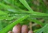  ( - BioBot05323)  @11 [ ] Copyright (2010) Unspecified Unspecified