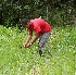  ( - BioBot05324)  @11 [ ] Copyright (2010) Unspecified Unspecified