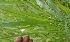  ( - BioBot05324)  @11 [ ] Copyright (2010) Unspecified Unspecified