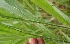  ( - BioBot05324)  @11 [ ] Copyright (2010) Unspecified Unspecified