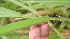  ( - BioBot05324)  @11 [ ] Copyright (2010) Unspecified Unspecified