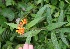  ( - BioBot05335)  @11 [ ] Copyright (2010) Unspecified Unspecified