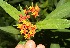  ( - BioBot05335)  @11 [ ] Copyright (2010) Unspecified Unspecified