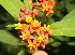  ( - BioBot05335)  @11 [ ] Copyright (2010) Unspecified Unspecified