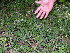 ( - BioBot05422)  @11 [ ] CreativeCommons - Attribution Non-Commercial Share-Alike (2010) Daniel H. Janzen Guanacaste Dry Forest Conservation Fund