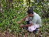  ( - BioBot05423)  @11 [ ] CreativeCommons - Attribution Non-Commercial Share-Alike (2010) Daniel H. Janzen Guanacaste Dry Forest Conservation Fund