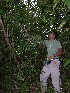  ( - BioBot05433)  @11 [ ] CreativeCommons - Attribution Non-Commercial Share-Alike (2010) Daniel H. Janzen Guanacaste Dry Forest Conservation Fund