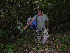  ( - BioBot05435)  @11 [ ] CreativeCommons - Attribution Non-Commercial Share-Alike (2010) Daniel H. Janzen Guanacaste Dry Forest Conservation Fund
