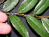  ( - BioBot05435)  @11 [ ] CreativeCommons - Attribution Non-Commercial Share-Alike (2010) Daniel H. Janzen Guanacaste Dry Forest Conservation Fund