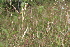  ( - BioBot05448)  @11 [ ] CreativeCommons - Attribution Non-Commercial Share-Alike (2010) Daniel H. Janzen Guanacaste Dry Forest Conservation Fund