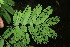  ( - BioBot05954)  @11 [ ] CreativeCommons - Attribution Non-Commercial Share-Alike (2010) Daniel H. Janzen Guanacaste Dry Forest Conservation Fund