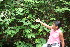  ( - BioBot05955)  @11 [ ] CreativeCommons - Attribution Non-Commercial Share-Alike (2010) Daniel H. Janzen Guanacaste Dry Forest Conservation Fund