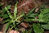 ( - BioBot05975)  @11 [ ] CreativeCommons - Attribution Non-Commercial Share-Alike (2010) Daniel H. Janzen Guanacaste Dry Forest Conservation Fund