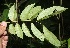  ( - BioBot05981)  @11 [ ] CreativeCommons - Attribution Non-Commercial Share-Alike (2010) Daniel H. Janzen Guanacaste Dry Forest Conservation Fund