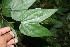  ( - BioBot05988)  @11 [ ] CreativeCommons - Attribution Non-Commercial Share-Alike (2010) Daniel H. Janzen Guanacaste Dry Forest Conservation Fund