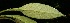  ( - BioBot06244)  @11 [ ] CreativeCommons - Attribution Non-Commercial Share-Alike (2010) Daniel H. Janzen Guanacaste Dry Forest Conservation Fund
