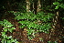  ( - BioBot10009)  @11 [ ] Copyright (2010) Unspecified Unspecified