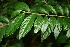  ( - BioBot10009)  @11 [ ] Copyright (2010) Unspecified Unspecified