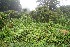  ( - BioBot10030)  @11 [ ] Copyright (2010) Unspecified Unspecified