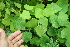  ( - BioBot10030)  @11 [ ] Copyright (2010) Unspecified Unspecified