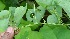  ( - BioBot10030)  @11 [ ] Copyright (2010) Unspecified Unspecified