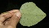  ( - BioBot10030)  @11 [ ] Copyright (2010) Unspecified Unspecified