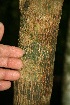  ( - BioBot10040)  @11 [ ] Copyright (2010) Unspecified Unspecified