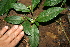  ( - BioBot10041)  @11 [ ] Copyright (2010) Unspecified Unspecified