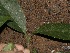  ( - BioBot10041)  @11 [ ] Copyright (2010) Unspecified Unspecified