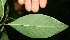  ( - BioBot10042)  @11 [ ] Copyright (2010) Unspecified Unspecified