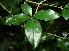  ( - BioBot10046)  @11 [ ] Copyright (2010) Unspecified Unspecified
