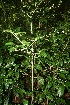  ( - BioBot10047)  @11 [ ] Copyright (2010) Unspecified Unspecified